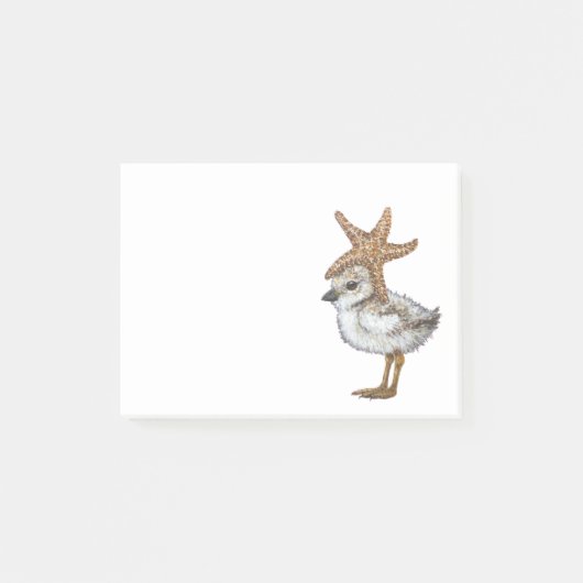 Plover chick Post-It Notes (Voorkant)