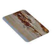 Plover en zeewier Imperial Beach, Californië Magneet (Rechterzijde)