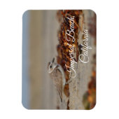 Plover en zeewier Imperial Beach, Californië Magneet (Verticaal)