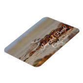 Plover en zeewier Imperial Beach, Californië Magneet (Linkerzijde)