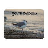 Plover on the beach magneet (Horizontaal)