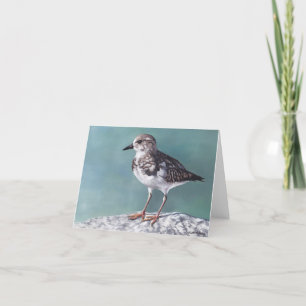 Plover Shore Bird Art Note Kaart