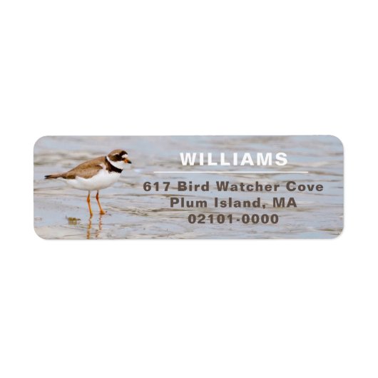 Plover Shore Bird Return-adres Etiket (Voorkant)