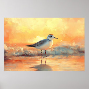 Plover Staand in Oceaangolven Tijdens Zonsondergan Poster