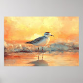 Plover Standing in Ocean Waves During Sunset Poster (Voorkant)