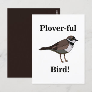 Plover Vogel Grappige Natuur Natuurleven Briefkaart