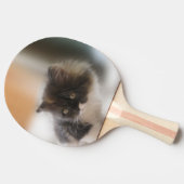 Pluche Calico Katje Foto Schattig Tafeltennisbatje (Zijkant)