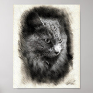 Pluche Grijze Kat Schets - Zachte Katachtige Portr Poster