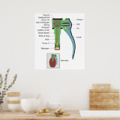 Plug of a Borstein Granat Grenade 1935 Model Poster (Keuken)