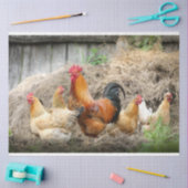 Pluimvee Boerderij van kippen Ontvlechtingspapier Tissuepapier (Craft)