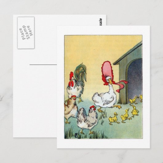 pluimvee briefkaart (Voorkant / Achterkant)