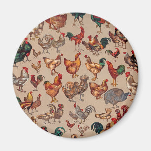 Pluimvee Haan Kip landelijk vintage kunst Magneet