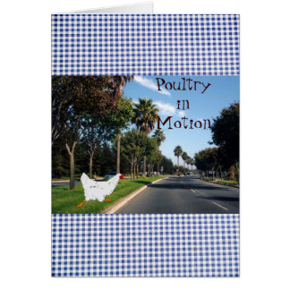 Pluimvee in beweging