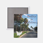 Pluimvee in beweging magneet (Voorkant / Achterkant)