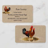 Pluimvee, kippen, eiervrije loopvogels, biologisch visitekaartje (Voorkant / Achterkant)