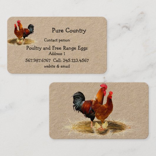 Pluimvee, kippen, eiervrije loopvogels, biologisch visitekaartje (Voorkant / Achterkant)