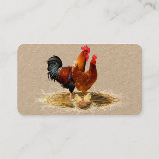 Pluimvee, kippen, eiervrije loopvogels, biologisch visitekaartje (Achterkant)