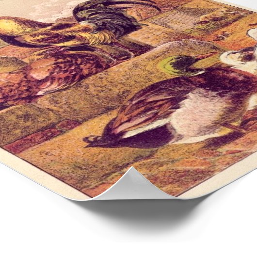  pluimvee poster (Hoek)