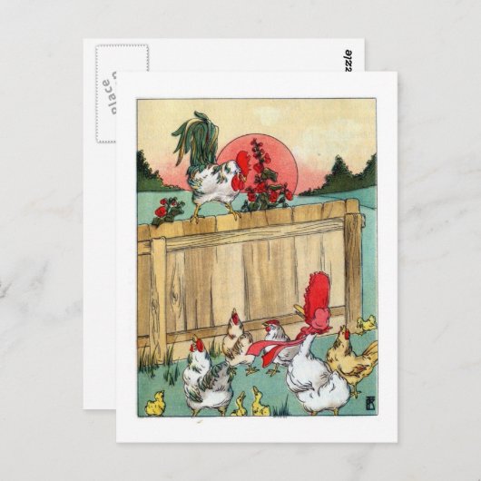  pluimvee, Rooster leidt een vergadering Briefkaart (Voorkant / Achterkant)