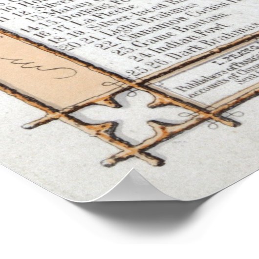 Pluimvee uit de wereld poster (Hoek)