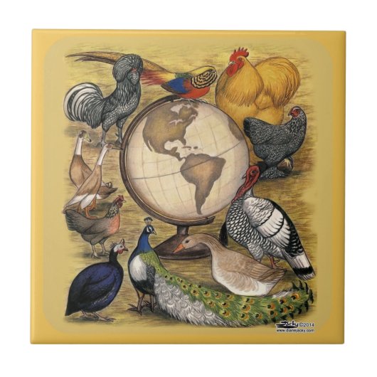 Pluimvee van de wereld tegeltje (Voorkant)