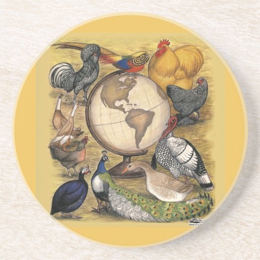 Pluimvee van de wereld zandsteen onderzetter (Voorkant)