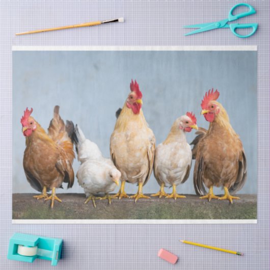 Pluimveestapel Boerderij 2 Staafpapier Tissuepapier (Craft)