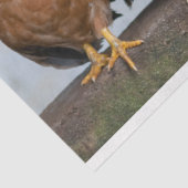 Pluimveestapel Boerderij 2 Staafpapier Tissuepapier (Detail)