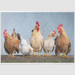 Pluimveestapel Boerderij 2 Staafpapier Tissuepapier