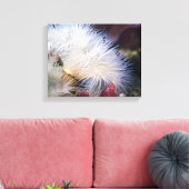 Pluimvormige Anemoon - Ingepakt Canvas Afdruk (Insitu (Woonkamer))