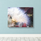 Pluimvormige Anemoon - Ingepakt Canvas Afdruk (Insitu (Houten vloer))