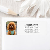 pluizig bruin poedel puppy hond retour adres etiket (Insitu)