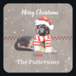 pluizig duits herder puppy zo Schattige Vierkante Sticker<br><div class="desc">Geen enkele andere hond straalt de liefde, loyaliteit en intelligentie uit, net als de Duitse Herder! Verras de hondenliefhebbers in je leven met deze heerlijke, vakantie pup! Een prachtige, Duitse Herder puppy legt terwijl het dragen van haar vakantie beste! Nog één ding om je feestdagen op te fleuren! Perfect voor...</div>