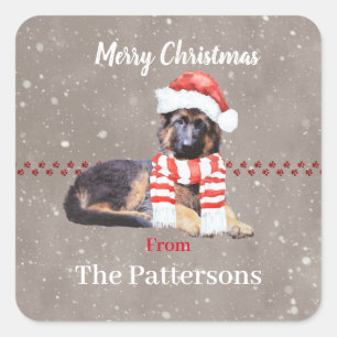 pluizig duits herder puppy zo Schattige Vierkante Sticker