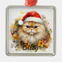 PLUIZIG KERSTVAKANTIE KAT GEZICHT