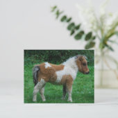 Pluizig Schattig Pony Dartmoor Briefkaart (Staand voorkant)