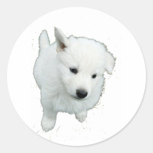 pluizig witte puppy foto ronde sticker