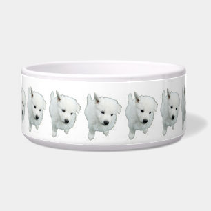 pluizig witte puppy foto voerbakje