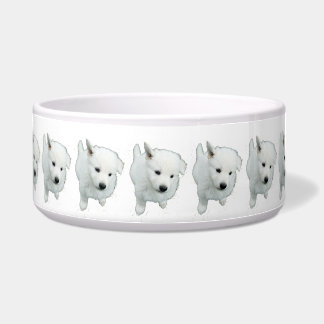 pluizig witte puppy foto voerbakje