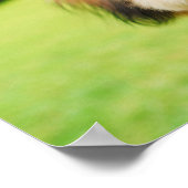 Pluizige hond met grote ogen | Joyful Pet Afbeeldi Poster (Hoek)