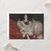 Pluizige Hond Zittend op een Kussen (Gustave Courb Kaart (Voorkant / Achterkant in situ)