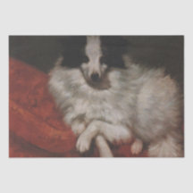 Pluizige Hond Zittend op een Kussen (Gustave Courb