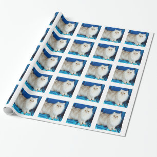 Pluizige Kat Cadeaupapier