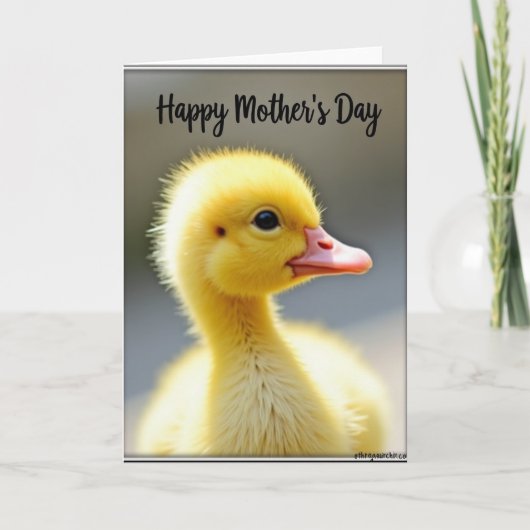 Pluizige Kuiken Moederdagkaart Kaart (Voorkant)