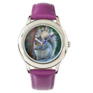 Pluizige mollige Eekhoorn die Horloge eten