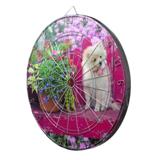 Pluizige Pommerse puppy op rustieke tuinbank Dartbord (Voorkant Rechts)