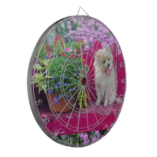 Pluizige Pommerse puppy op rustieke tuinbank Dartbord (Voorkant Links)