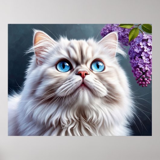 Pluizige Witte Kat Met Blauwe Ogen Poster (Voorkant)