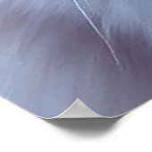 Pluizige Witte Kat Met Blauwe Ogen Poster (Hoek)