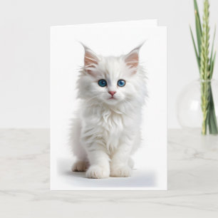Pluizige Witte Langharige Kat Blauwe Ogen Lege Kaa Kaart